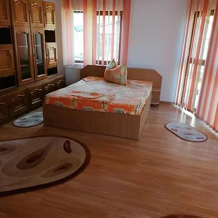 Vila Adela Villa Cluj-Napoca